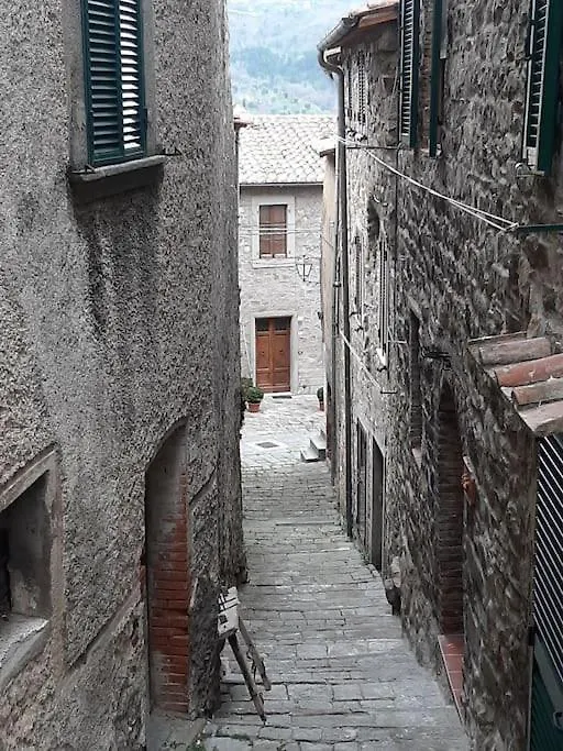 Loft Antico La Casina Di Paola Apartment Seggiano